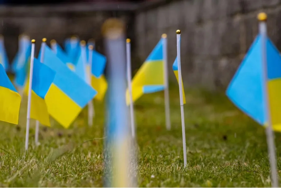 100th anniversary of Ukrainian Youth Organisation