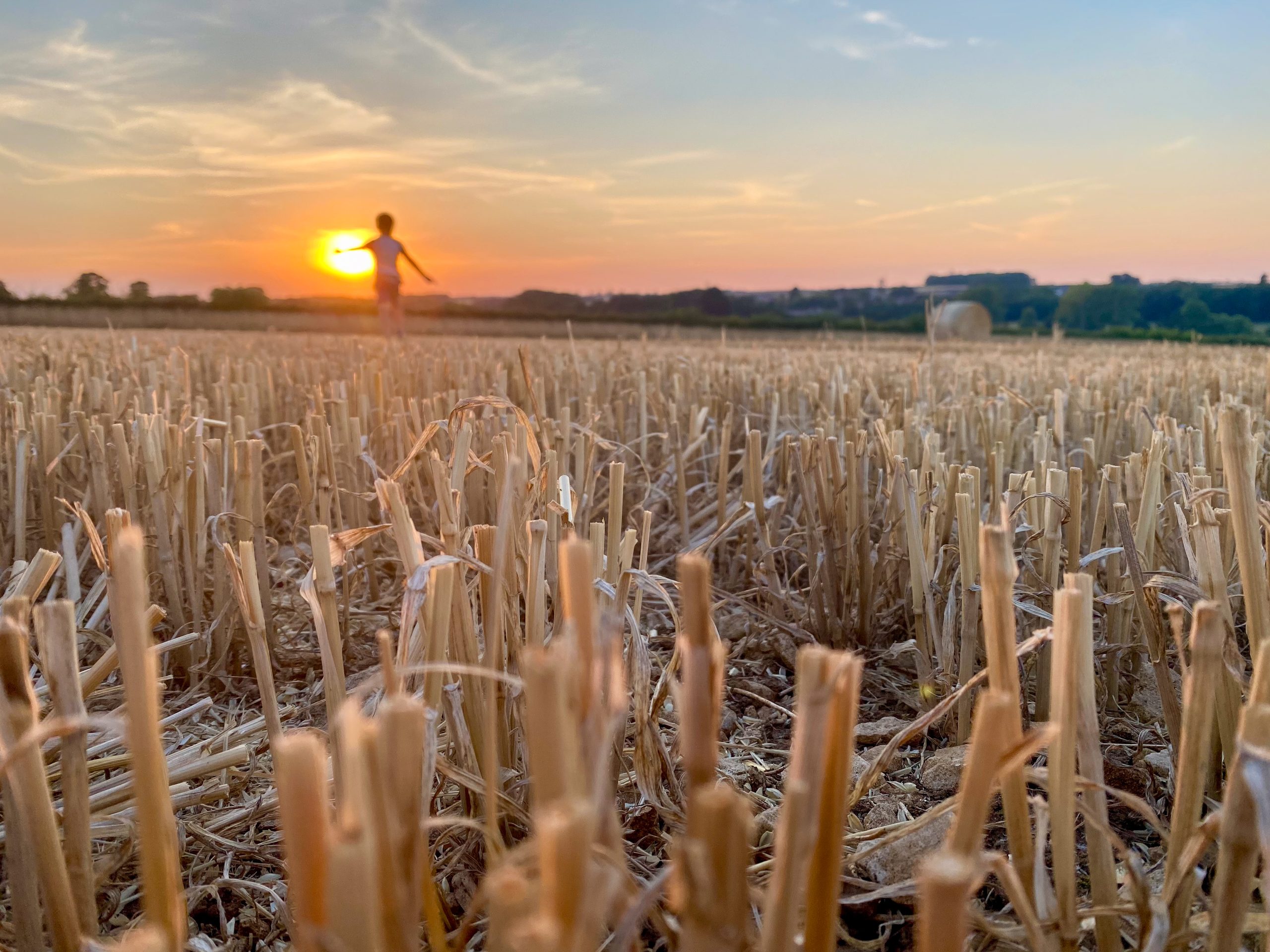 Там, де осідає світло: Стемфорд у фоторепортажі Олексія Клітовченка 18 Жовтогаряче сонце сідає над широким скошеним полем під блакитним небом.